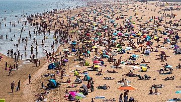 Press Release cover image