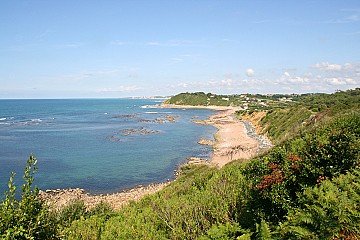 Press Release cover image