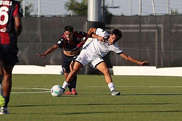 Press Release cover image