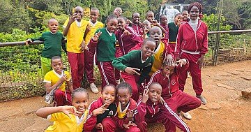 Press Release cover image