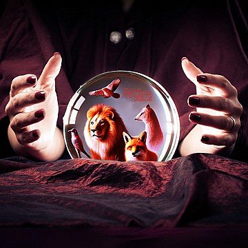 Press Release cover image