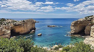 Press Release cover image