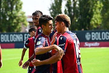 Press Release cover image