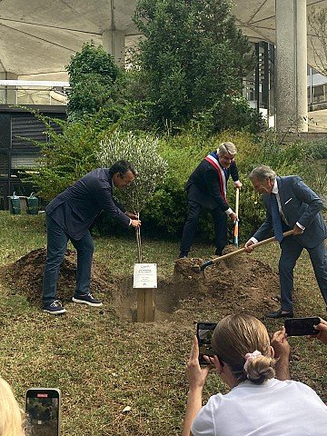 Press Release cover image