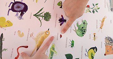 Press Release cover image