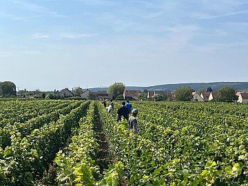 Press Release cover image