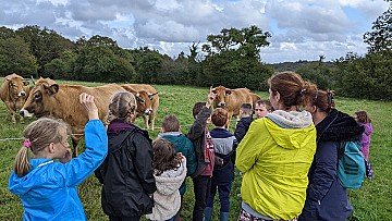 Press Release cover image