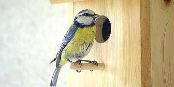 Press Release cover image