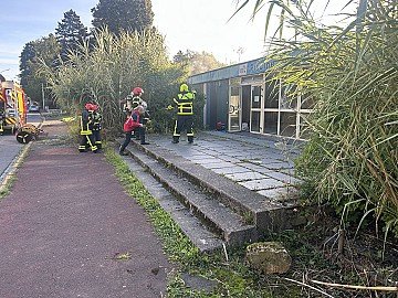 Press Release cover image