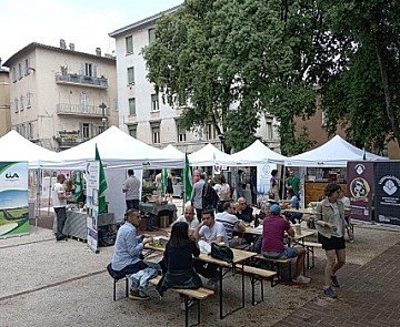 Press Release cover image