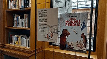 Press Release cover image