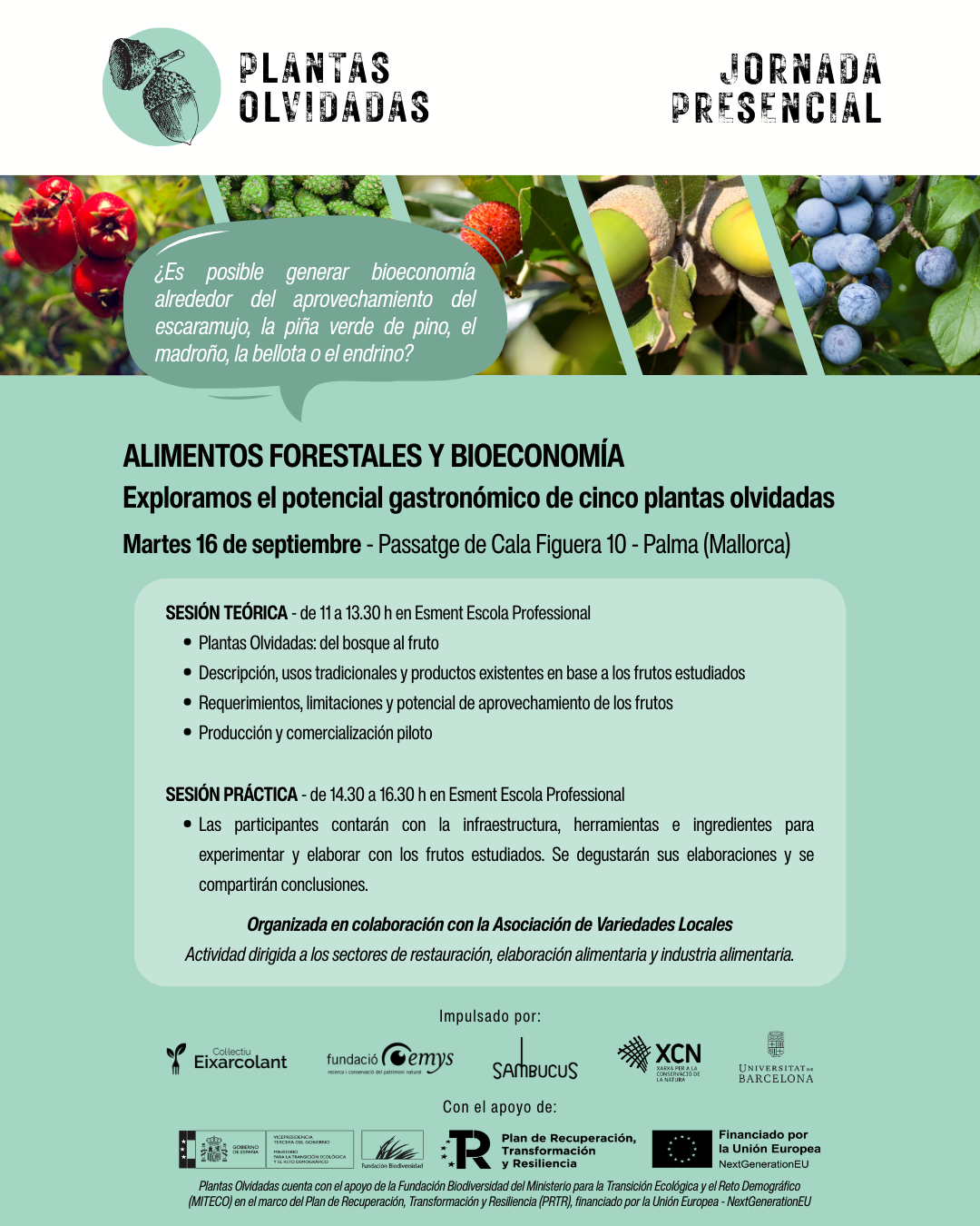 Cartel Jornada Palma 16 septiembre