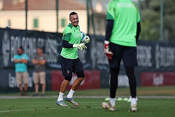 Press Release cover image