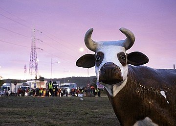 Press Release cover image