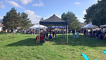 Press Release cover image