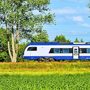 Press Release cover image