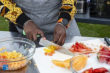 Press Release cover image