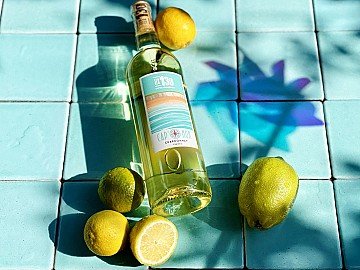 Press Release cover image