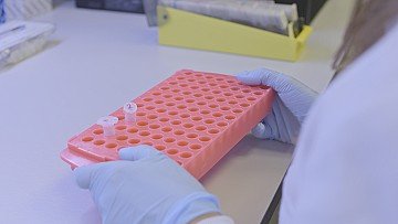 Press Release cover image