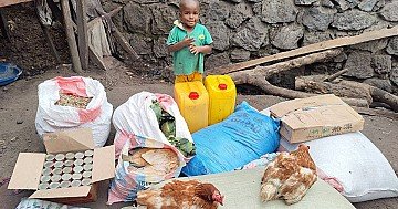 Press Release cover image