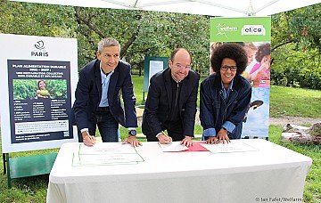 Press Release cover image