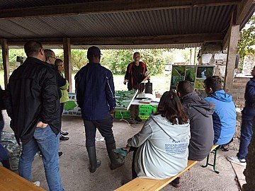 Press Release cover image