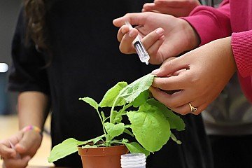 Press Release cover image