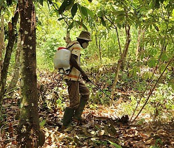 Press Release cover image