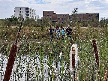 Press Release cover image