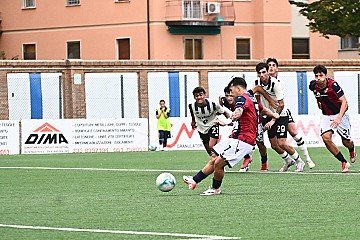 Press Release cover image