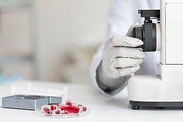 Press Release cover image