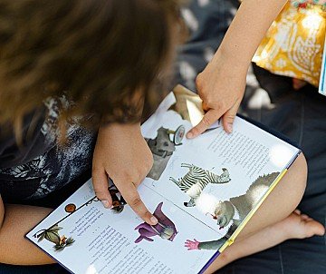 Press Release cover image