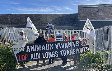 Press Release cover image