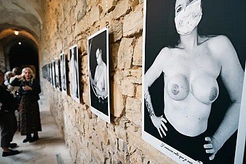 Press Release cover image