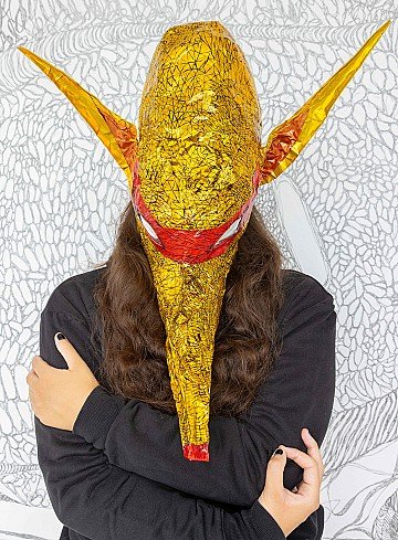 Press Release cover image