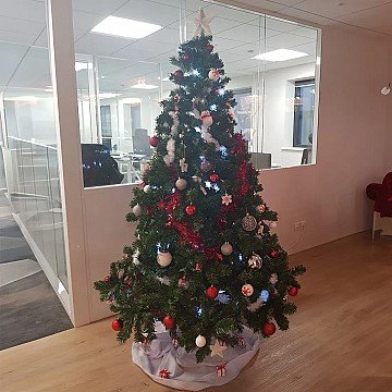 Press Release cover image