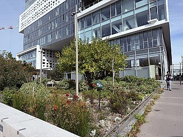 Press Release cover image