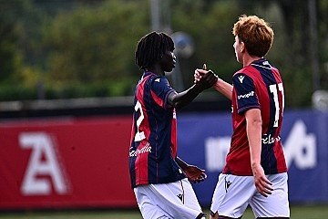 Press Release cover image