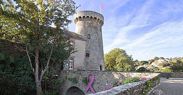 Press Release cover image