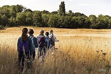 Press Release cover image