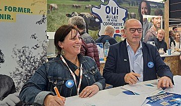 Press Release cover image