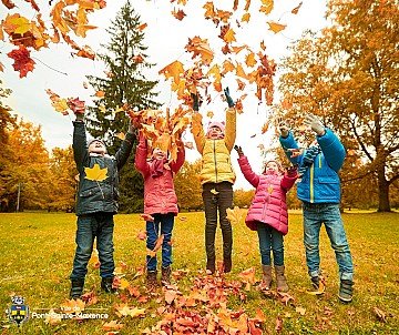 Press Release cover image