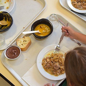 Press Release cover image