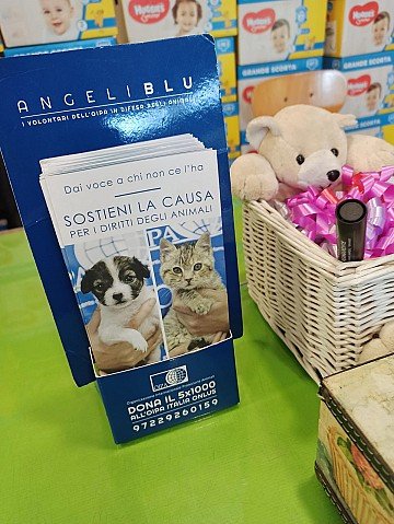 Press Release cover image