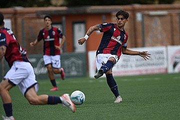 Press Release cover image