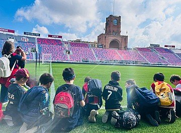 Press Release cover image