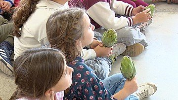 Press Release cover image