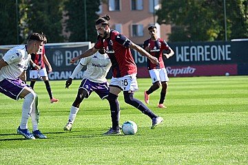 Press Release cover image