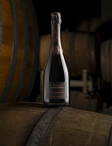 Press Release cover image