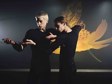 Press Release cover image